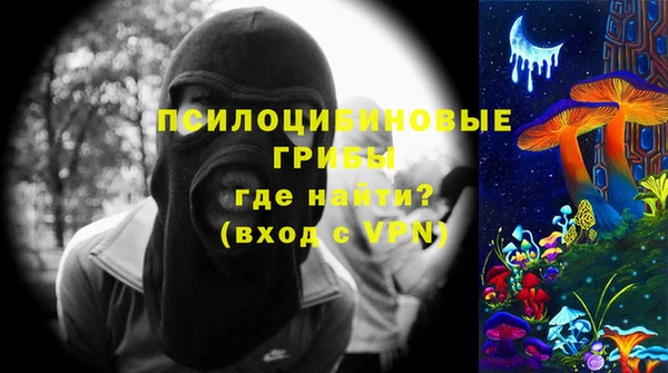 сатива Протвино