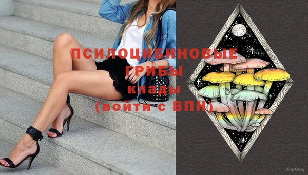 тгк Алзамай